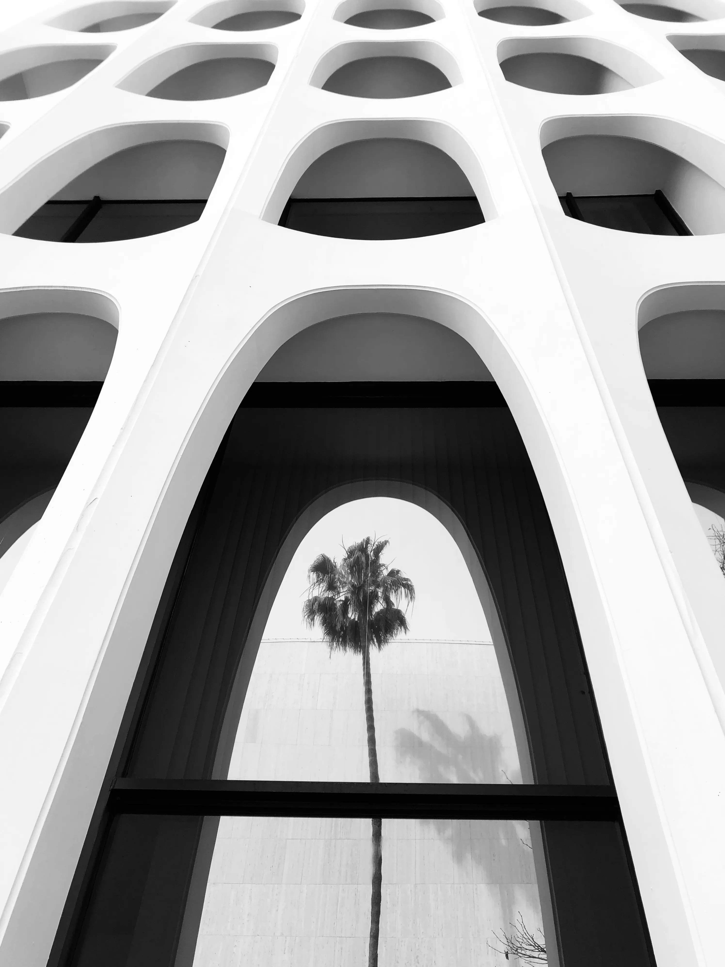 Black and white upward view of a modern building facade with arched openings and a palm tree visible through one arch